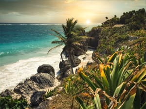 beach with rough volcanic rock and foilage