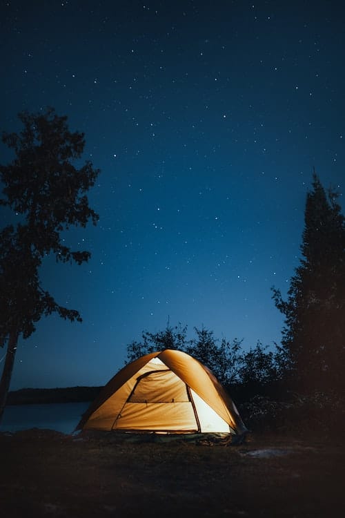 A camping tent next to pine trees, under the stars.