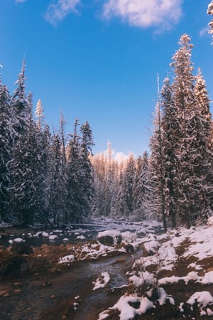 Jerry Johnson hotsprings in the winter