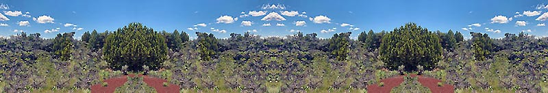 Idaho sagebrush with a beautiful blue sky and fluffy white clouds