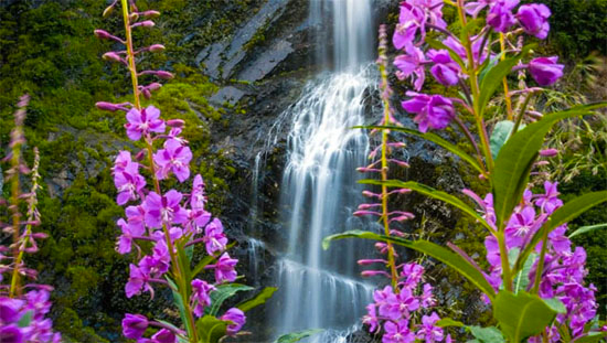 water fall in Alaska